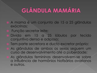  A mama é um conjunto de 15 a 25 glândulas
exócrinas;
 Função secretar leite;
 Divida em 15 a 25 lóbulos por tecido
conjuntivo denso e adiposo;
 Tem parte secretora e ducto excretor próprio;
 As glândulas de ambos os sexos seguem um
curso de desenvolvimento até a puberdade;
 As glândulas femininas desenvolvem-se sobre
a influência de hormônios hiofisários ovarianos
e outros.
 