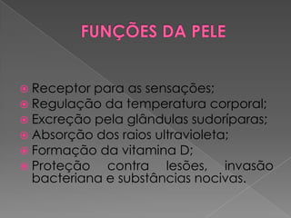  Receptor para as sensações;
 Regulação da temperatura corporal;
 Excreção pela glândulas sudoríparas;
 Absorção dos raios ultravioleta;
 Formação da vitamina D;
 Proteção contra lesões, invasão
bacteriana e substâncias nocivas.
 