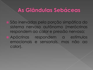  São inervadas pela porção simpática do
sistema nervoso autônomo (merócrinas
respondem ao calor e pressão nervosa;
 Apócrinas respondem a estímulos
emocionais e sensoriais, mas não ao
calor).
 