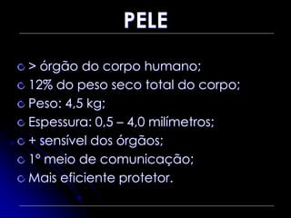 PELE
> órgão do corpo humano;
12% do peso seco total do corpo;
Peso: 4,5 kg;
Espessura: 0,5 – 4,0 milímetros;
+ sensível dos órgãos;
1º meio de comunicação;
Mais eficiente protetor.
 