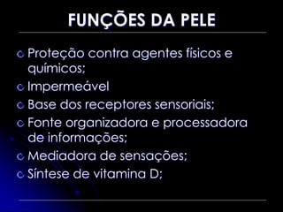 FUNÇÕES DA PELE
Proteção contra agentes físicos e
químicos;
Impermeável
Base dos receptores sensoriais;
Fonte organizadora e processadora
de informações;
Mediadora de sensações;
Síntese de vitamina D;
 