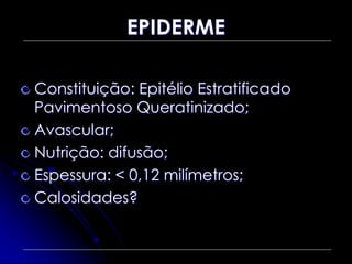 EPIDERME
Constituição: Epitélio Estratificado
Pavimentoso Queratinizado;
Avascular;
Nutrição: difusão;
Espessura: < 0,12 milímetros;
Calosidades?
 