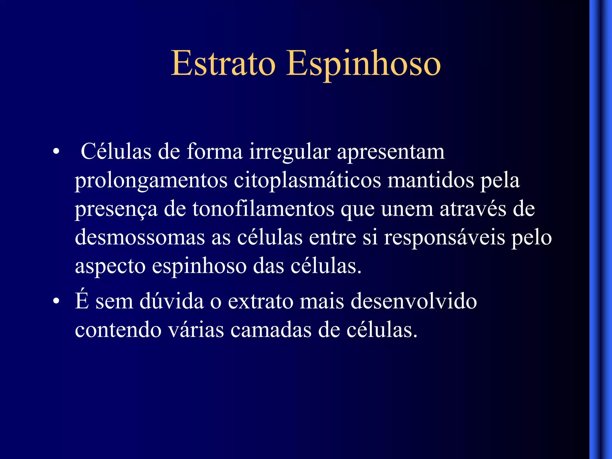 Estrato Espinhoso
• Células de forma irregular apresentam
prolongamentos citoplasmáticos mantidos pela
presença de tonofilamentos que unem através de
desmossomas as células entre si responsáveis pelo
aspecto espinhoso das células.
• É sem dúvida o extrato mais desenvolvido
contendo várias camadas de células.
 