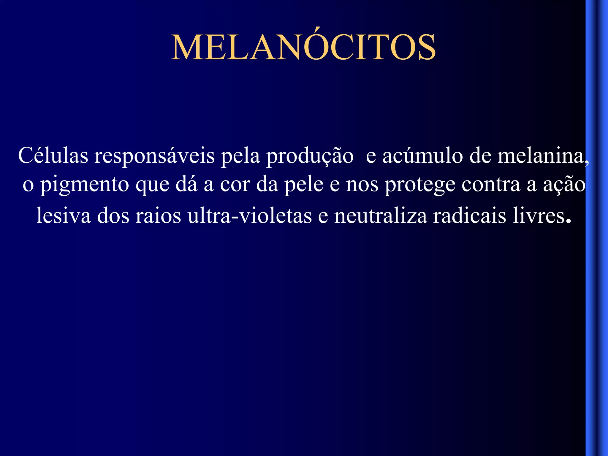 Células responsáveis pela produção e acúmulo de melanina,
o pigmento que dá a cor da pele e nos protege contra a ação
lesiva dos raios ultra-violetas e neutraliza radicais livres.
MELANÓCITOS
 