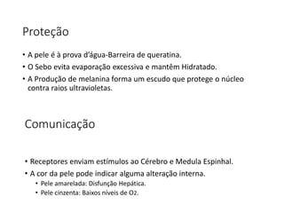 Proteção
• A pele é à prova d’água-Barreira de queratina.
• O Sebo evita evaporação excessiva e mantêm Hidratado.
• A Produção de melanina forma um escudo que protege o núcleo
contra raios ultravioletas.
Comunicação
• Receptores enviam estímulos ao Cérebro e Medula Espinhal.
• A cor da pele pode indicar alguma alteração interna.
• Pele amarelada: Disfunção Hepática.
• Pele cinzenta: Baixos níveis de O2.
 
