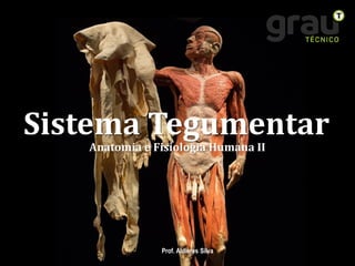Anatomia e Fisiologia Humana II
Sistema Tegumentar
Prof. Aldieres Silva
 