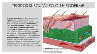 TECIDOS SUBCUTÂNEO OU HIPODERME
◦ O tecido subcutâneo, também denominado
hipoderme, é uma camada de tecido
adiposo aderida à derme profunda (camada
mais oleosa). Ele aumenta a mobilidade da
pele, isola termicamente o corpo, age como
um absorvedor de choque mecânico e
como fonte de energia (ex. quando estamos
com fome). A hipoderme é repleta de nervos
subcutâneos, vasos sanguíneos e linfáticos.
◦ A gordura que contém nessa camada produz o
hormônio leptina, depois do jantar se sentimos
satisfeito, não porque o estômago esta
realimente cheio, mas porque esse hormônio diz
que devemos parar por ali, então é a gordura
que controla nosso apetite, não nosso estômago.
Os Macrófagos(essas células são criadas
na medula óssea) são a parte do sistema
imunológicos que protegem essa
camada, combatendo bactérias.
 