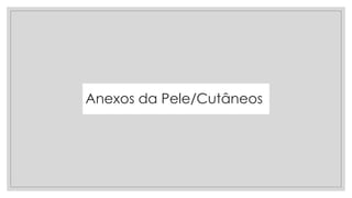 Anexos da Pele/Cutâneos
 
