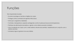 Funções
Tem importantes funções:
• Envolve e protege os tecidos e órgãos do corpo;
• Protege contra a entrada de agentes infecciosos;
• Evita que o organismo desidrate;
• Controla a temperatura corporal, protegendo contra mudanças bruscas de temperatura;
• Participa da eliminação de resíduos, agindo como sistema excretor também;
• Atua na relação do corpo com o meio externo através dos sentidos, trabalhando em conjunto com o
sistema nervoso;
• Armazena água e gordura nas suas células.
 