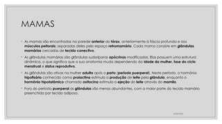 MAMAS
◦ As mamas são encontradas na parede anterior do tórax, anteriormente à fáscia profunda e aos
músculos peitorais; separadas deles pelo espaço retromamário. Cada mama consiste em glândulas
mamárias cercadas de tecido conectivo.
◦ As glândulas mamárias são glândulas sudoríparas apócrinas modificadas. Elas possuem uma estrutura
dinâmica, o que significa que a sua anatomia muda dependendo da idade da mulher, fase do ciclo
menstrual e status reprodutivo.
◦ As glândulas são ativas na mulher adulta após o parto (período puerperal). Neste período, o hormônio
hipofisário conhecido como prolactina estimula a produção de leite pela glândula, enquanto o
hormônio hipotalâmico chamado oxitocina estimula a ejeção do leite através do mamilo.
◦ Fora do período puerperal as glândulas são menos abundantes, com a maior parte do tecido mamário
preenchida por tecido adiposo.
27/09/2025
 