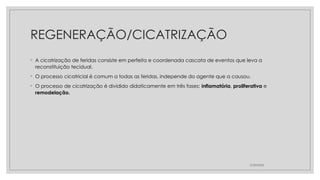 REGENERAÇÃO/CICATRIZAÇÃO
◦ A cicatrização de feridas consiste em perfeita e coordenada cascata de eventos que leva a
reconstituição tecidual.
◦ O processo cicatricial é comum a todas as feridas, independe do agente que a causou.
◦ O processo de cicatrização é dividido didaticamente em três fases: inflamatória, proliferativa e
remodelação.
27/09/2025
 