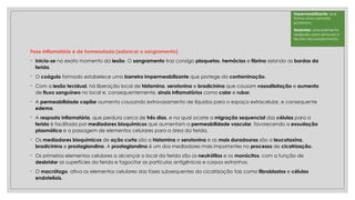 Fase Inflamatória e de homeostasia (estancar o sangramento)
◦ Inicia-se no exato momento da lesão. O sangramento traz consigo plaquetas, hemácias e fibrina selando as bordas da
ferida.
◦ O coágulo formado estabelece uma barreira impermeabilizante que protege da contaminação.
◦ Com a lesão tecidual, há liberação local de histamina, serotonina e bradicinina que causam vasodilatação e aumento
de fluxo sanguíneo no local e, consequentemente, sinais inflamatórios como calor e rubor.
◦ A permeabilidade capilar aumenta causando extravasamento de líquidos para o espaço extracelular, e consequente
edema.
◦ A resposta inflamatória, que perdura cerca de três dias, e na qual ocorre a migração sequencial das células para a
ferida é facilitada por mediadores bioquímicos que aumentam a permeabilidade vascular, favorecendo a exsudação
plasmática e a passagem de elementos celulares para a área da ferida.
◦ Os mediadores bioquímicos de ação curta são a histamina e serotonina e as mais duradouras são a leucotaxina,
bradicinina e prostaglandina. A prostaglandina é um dos mediadores mais importantes no processo de cicatrização.
◦ Os primeiros elementos celulares a alcançar o local da ferida são os neutrófilos e os monócitos, com a função de
desbridar as superfícies da ferida e fagocitar as partículas antigênicas e corpos estranhos.
◦ O macrófago, ativa os elementos celulares das fases subsequentes da cicatrização tais como fibroblastos e células
endoteliais.
Impermeabilizante: que
forma uma camada
protetora.
Desbridar: procedimento
realizado para remover o
tecido necrosado/morto.
 