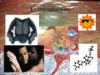 1.- Introducción 
