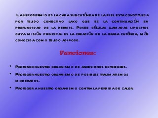 La hipodermis es la capa subcutánea de la piel esta constituida por tejido conectivo laxo que es la continuación en profundidad de la dermis. Posee células llamadas lipocitos cuya misión principal es la creación de la grasa cutánea, más conocida como tejido adiposo .  Funciones:  Proteger nuestro organismo de agresiones exteriores.  Proteger nuestro organismo de posibles traumatismos moderados.  Proteger a nuestro organismo contra la perdida de calor.  
