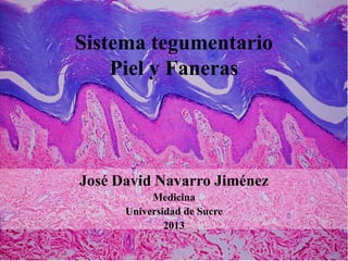 Sistema tegumentario
Piel y Faneras

José David Navarro Jiménez
Medicina
Universidad de Sucre
2013

 