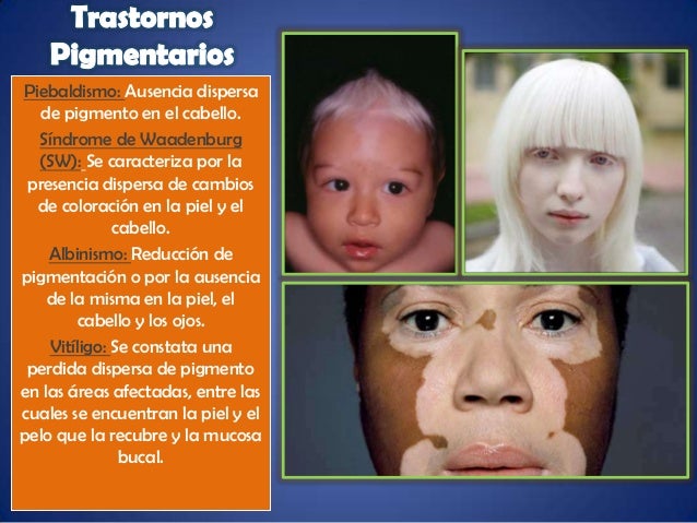 Sistema Tegumentario