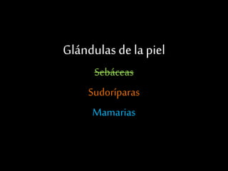 Glándulas de la piel
Sebáceas
Sudoríparas
Mamarias
 