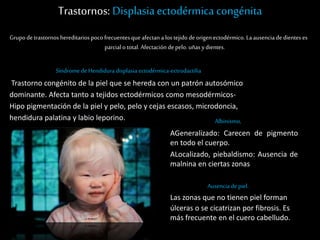 Trastornos: Displasiaectodérmica congénita
Grupo de trastornos hereditarios poco frecuentesque afectan a los tejido de origen ectodérmico. La ausencia dedientes es
parcial o total. Afectación depelo. uñas ydientes.
Síndrome de Hendidura displasia ectodérmica-ectrodactilia
Trastorno congénito de la piel que se hereda con un patrón autosómico
dominante. Afecta tanto a tejidos ectodérmicos como mesodérmicos-
Hipo pigmentación de la piel y pelo, pelo y cejas escasos, microdoncia,
hendidura palatina y labio leporino. Albinismo,
AGeneralizado: Carecen de pigmento
en todo el cuerpo.
ALocalizado, piebaldismo: Ausencia de
malnina en ciertas zonas
Ausencia de piel.
Las zonas que no tienen piel forman
úlceras o se cicatrizan por fibrosis. Es
más frecuente en el cuero cabelludo.
 