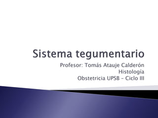 Profesor: Tomás Atauje Calderón
Histología
Obstetricia UPSB – Ciclo III
 