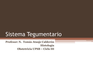 Sistema Tegumentario
Profesor: N. Tomás Atauje Calderón
Histología
Obstetricia UPSB – Ciclo III
 