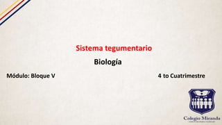 Sistema tegumentario
Biología
Módulo: Bloque V 4 to Cuatrimestre
 