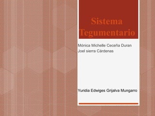 Sistema
Tegumentario
Mónica Michelle Ceceña Duran
Joel sierra Cárdenas
Yuridia Edwiges Grijalva Mungarro
 