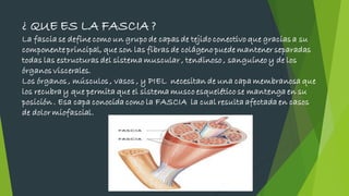 ¿ QUE ES LA FASCIA ?
La fascia se define como un grupo de capas de tejido conectivo que gracias a su
componente principal, que son las fibras de colágeno puede mantener separadas
todas las estructuras del sistema muscular , tendinoso , sanguíneo y de los
órganos viscerales.
Los órganos , músculos , vasos , y PIEL necesitan de una capa membranosa que
los recubra y que permita que el sistema musco esquelético se mantenga en su
posición . Esa capa conocida como la FASCIA la cual resulta afectada en casos
de dolor miofascial.
 