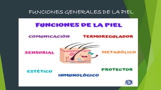 FUNCIONES GENERALES DE LA PIEL
 