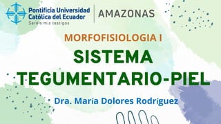 SISTEMA
TEGUMENTARIO-PIEL
Dra. María Dolores Rodríguez
MORFOFISIOLOGIA I
 