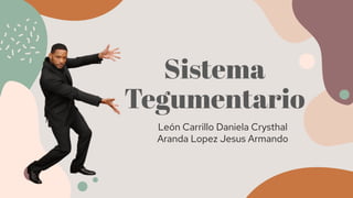 Sistema
Tegumentario
León Carrillo Daniela Crysthal
Aranda Lopez Jesus Armando
 