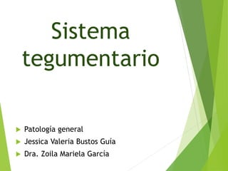 Sistema
tegumentario
 Patología general
 Jessica Valeria Bustos Guía
 Dra. Zoila Mariela García
 