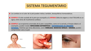 SISTEMA TEGUMENTARIO
Los cambios en el color de la piel pueden indicar, también, desequilibrios homeostáticos.
EJEMPLO: El color azulado de la piel que acompaña a la HIPOXIA (falta de oxígeno a nivel TISULAR) es un
signo, entre otros de insuficiencia cardiaca.

EJEMPLO: Las erupciones anormales de la piel o sarpullidos, como en la varicela, el herpes labial o el
sarampión, pueden revelar INFECCIONES SISTEMATICAS o ENFERMEDADES DE ORGANOS
INTERNOS, mientras que otras afecciones, como VERRUGAS, MANCHAS SENILES o GRANOS, pueden
comprometer solo a la piel.

 