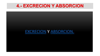 4.- EXCRECION Y ABSORCION

EXCRECION Y ABSORCION.

 
