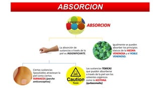 ABSORCION
ABSORCION

La absorción de
sustancias a través de la
piel es INSIGNIFICANTE.

Ciertas sustancias
liposolubles atraviesan la
piel como ciertos
FARMACOS (parche
anticonceptivo)

Igualmente se pueden
absorber los principios
tóxicos de la HIEDRA
VENENOSA y el ROBLE
VENENOSO.

Las sustancias TOXICAS
que pueden absorberse
a través de la piel son los
solventes orgánicos
como la ACETONA
(quitaesmalte)

 