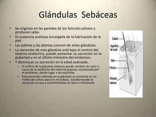 Alteraciones en el color