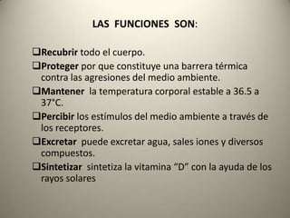 LAS  FUNCIONES  SON:Recubrir todo el cuerpo.