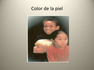 Percibir los estímulos del medio ambiente a través de los receptores.