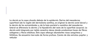Sistema tegumentario, oseo y articular.pdf