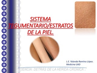 SISTEMA
TEGUMENTARIO/ESTRATOS
DE LA PIEL.
L.E. Yolanda Ramírez López.
Medicina UAD
 