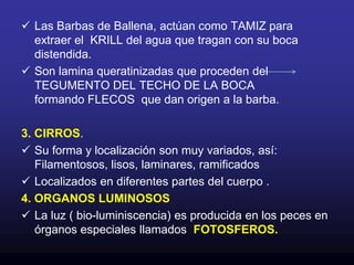 Por que el COLAGENO está regularmente organizado en capas  que rodean en espiral el cuerpo del pez. 