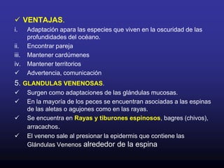 Presenta CELULAS PIGMENTARIAS         Llamadas CROMATOFOROS.Los CROMATOFOROS proporcionan color a los peces         situados en las regiones superiores de la dermis, parte inferior de la epidermis.