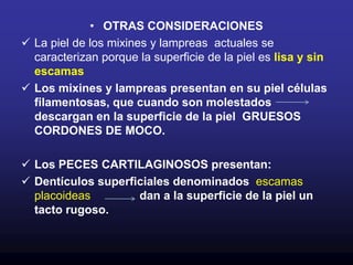 Se desarrolla en  pliegues dérmicos por lo tanto su origen es mesenquimatoso. Están recubiertas por:ESMALTE          de origen epidermico y es duro.DENTINA         de origen dérmico 