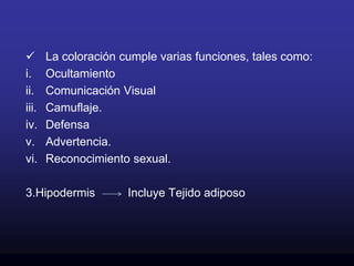 La piel de la mayoría de los peces actuales esta sin QUERATINA  y está cubierta de MOCO.