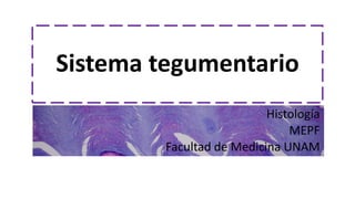 Sistema tegumentario
Histología
MEPF
Facultad de Medicina UNAM
 
