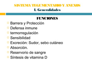 SISTEMA TEGUMENTARIO Y ANEXOS
               I. Generalidades

                    FUNCIONES
   Barrera y Protección
   ...