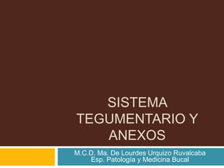 SISTEMA
TEGUMENTARIO Y
   ANEXOS
M.C.D. Ma. De Lourdes Urquizo Ruvalcaba
    Esp. Patología y Medicina Bucal
 