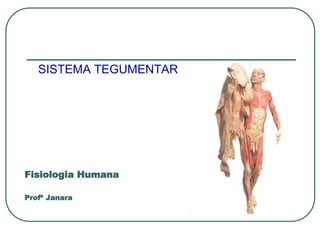 Fisiologia Humana
Profª Janara
SISTEMA TEGUMENTAR
 