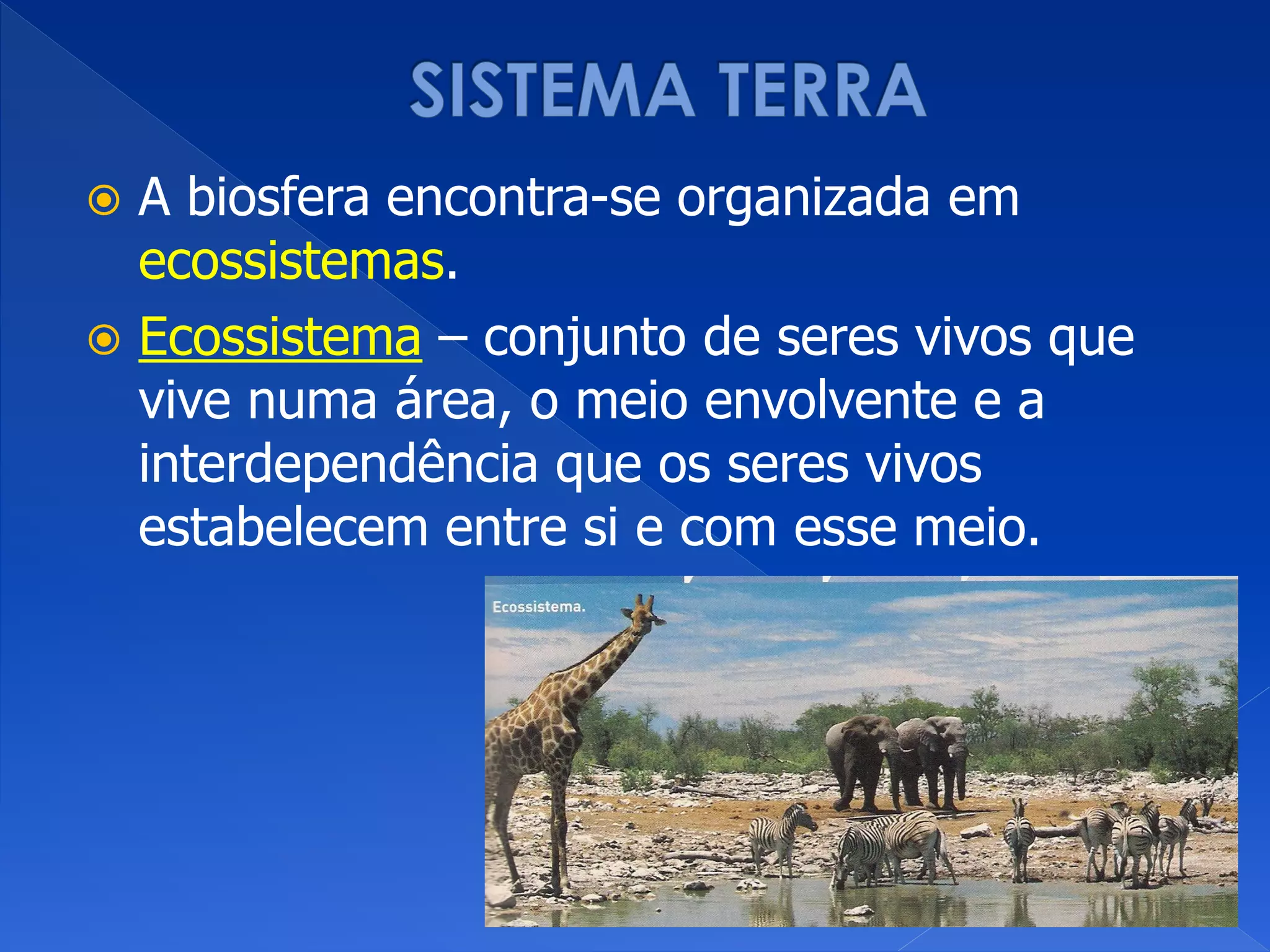  A biosfera encontra-se organizada em
ecossistemas.
 Ecossistema – conjunto de seres vivos que
vive numa área, o meio envolvente e a
interdependência que os seres vivos
estabelecem entre si e com esse meio.
 