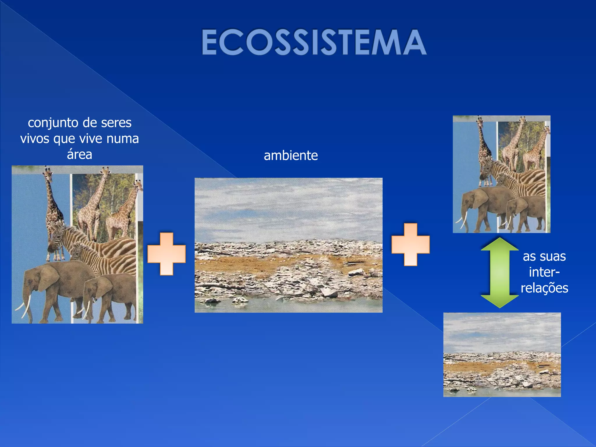 conjunto de seres
vivos que vive numa
área ambiente
as suas
inter-
relações
 