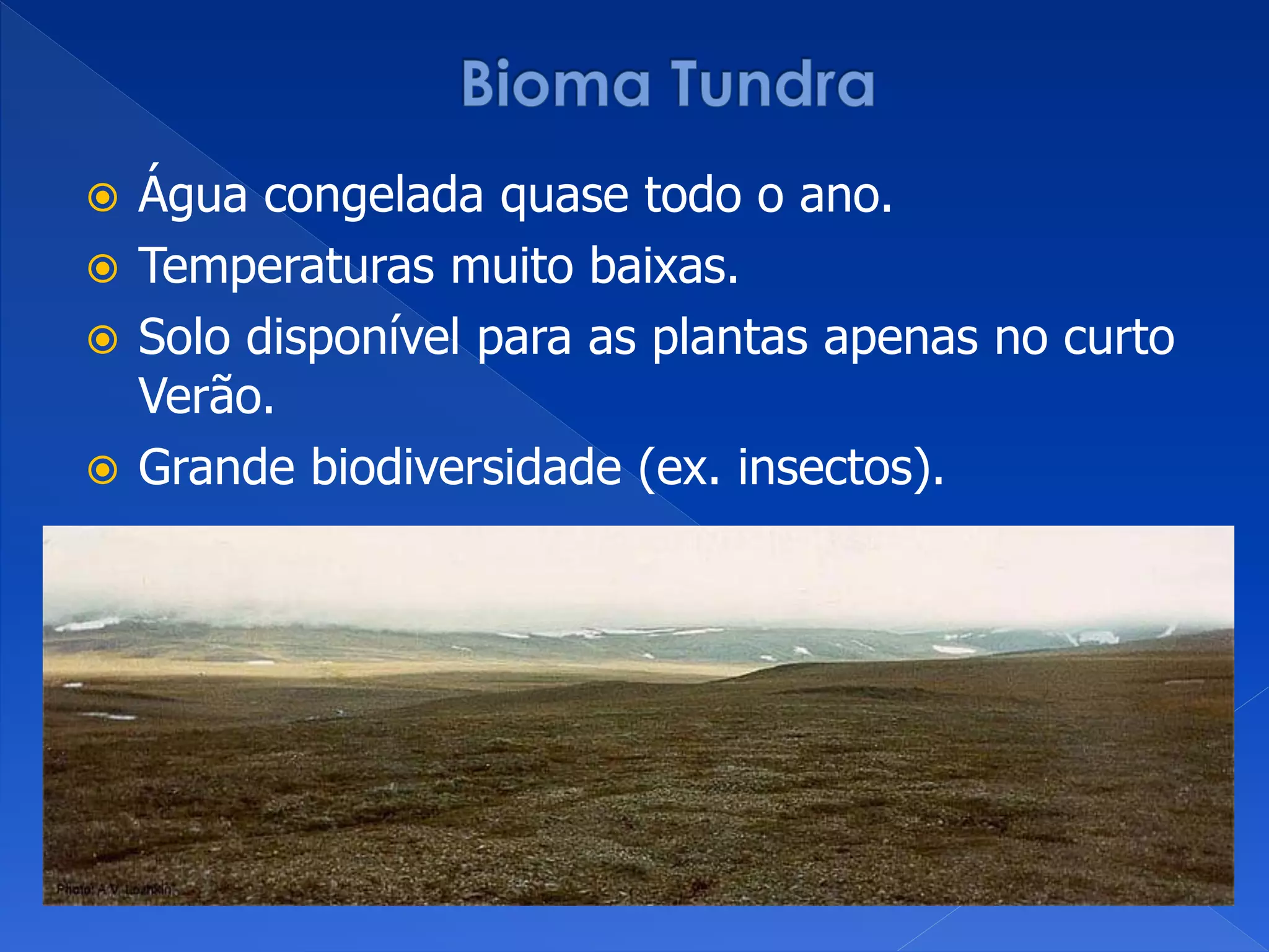  Água congelada quase todo o ano.
 Temperaturas muito baixas.
 Solo disponível para as plantas apenas no curto
Verão.
 Grande biodiversidade (ex. insectos).
 